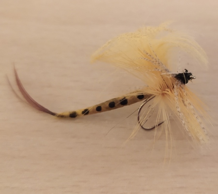 Zite Fishing Fliegen-Set Fliegenfischen - 120 Kunstköder Wasserdichte Fliegen-Box Angeln
